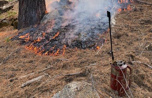 Prescribed burn